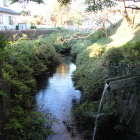 東虎口北側水堀と石樋