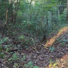 登城路に沿って竪堀が走る