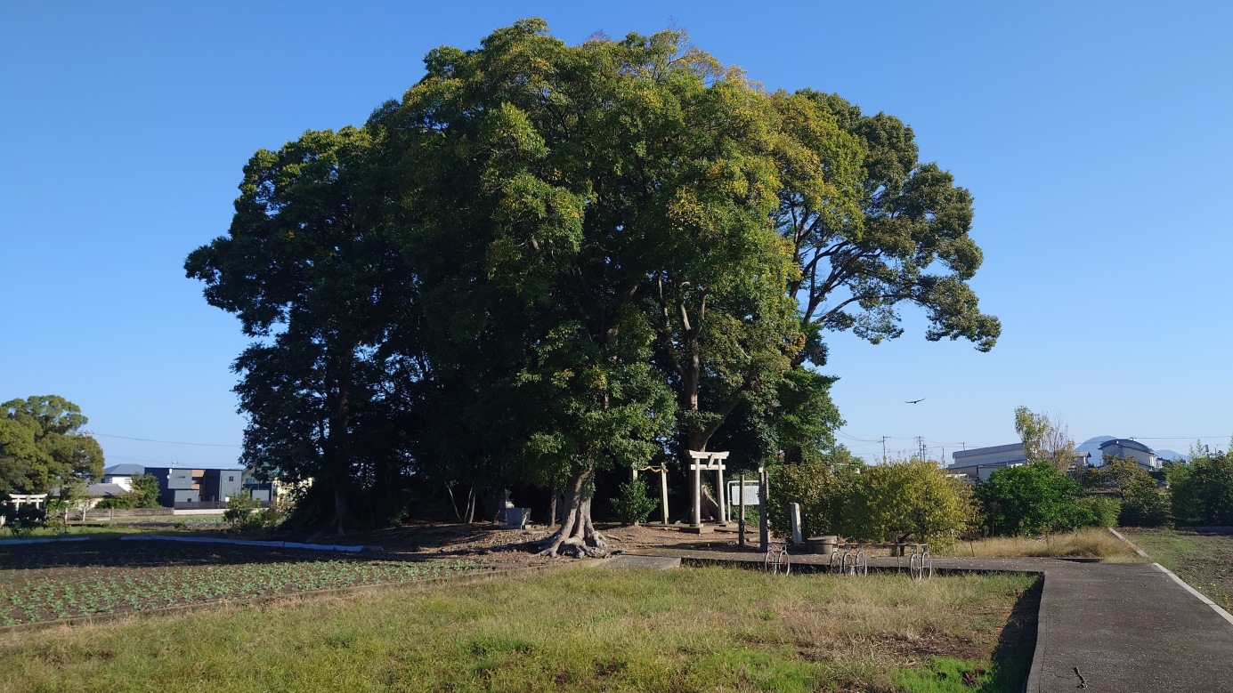 仲村城遠景