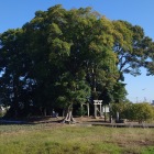 仲村城遠景