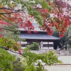 ⑥	観世音寺（赤紅葉はまだ1本だけ）