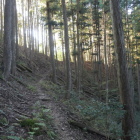 居館へ降りる道