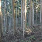 広大な居館跡