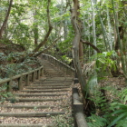 二の丸虎口(右に土橋)