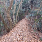 本丸への長い土橋