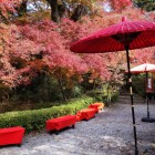 ③	黒門横の茶屋と紅葉