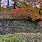 ⑧	堀からの石垣と土塁（ここだけ布積に近い）