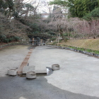 水が抜かれた日本庭園手前の大池