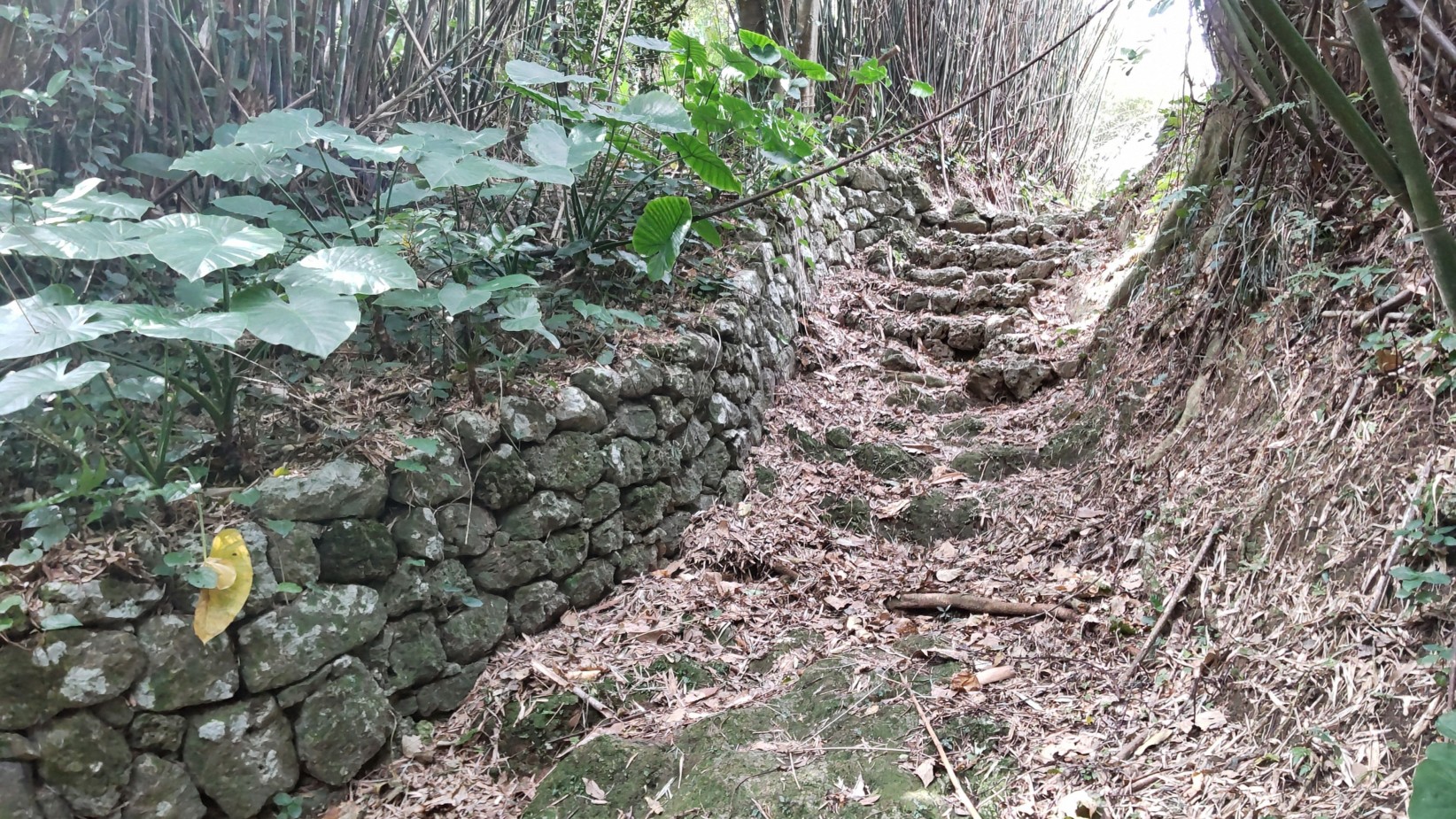 ①	山田城の石積