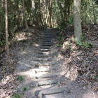 椎城登城路