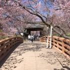 桜雲橋と問屋門
