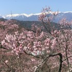 本丸からみた中央アルプス