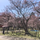 二ノ丸