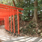 本丸土塁