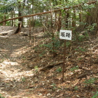 三の丸の土塁と堀
