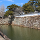 袖池