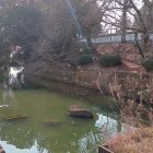 水堀(旭ヶ岡公園)