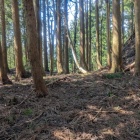 城山　主要部のことか