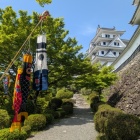 鯉のぼり