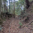 この土塁がなかなか