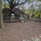 主郭土塁