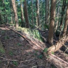 岩の虎口　枡形かな?