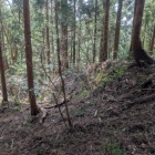 主郭に付く土塁、堀