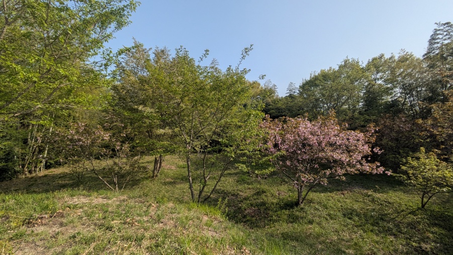 主郭