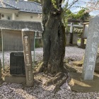 史跡　鷲城跡