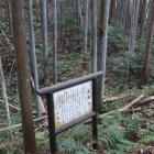 北城・南虎口