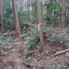 北城・大堀切に面する土塁
