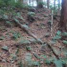 北城・西の大手の丸の石垣