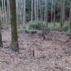 北城・主郭部南端の馬池