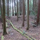 北城・北麓の屋敷地の土塁
