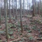 北城・北虎口につながる竪土塁