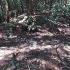 西尾根の堀切。石垣が見られる