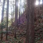 北城・主郭北東面の切岸
