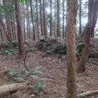 北城・主郭部北西曲輪群西辺の土塁。石積が施されている