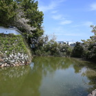 袖池