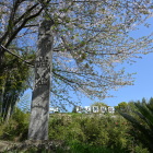 土塁上の城址碑