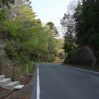 県道41号