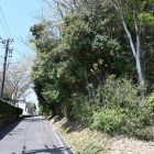 専修学校に続く道