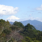 主郭から富士山
