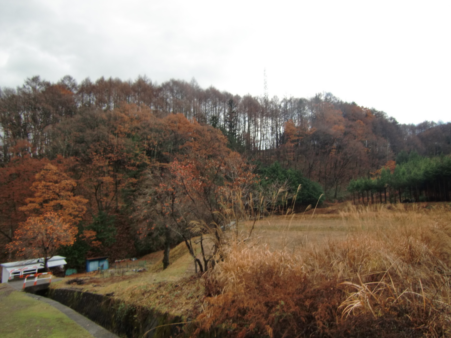 干沢城近景