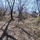 虎口と思われる