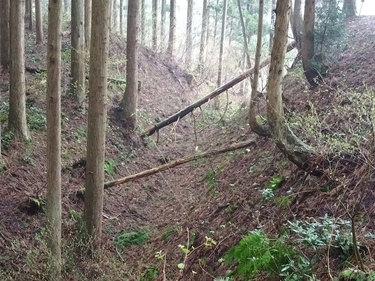 本丸背後の堀切1