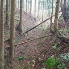 本丸背後の堀切1