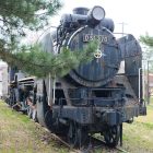 Ｄ５１が展示されてました