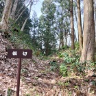 主郭背後の堀切