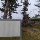 三上隆彦画伯の筆塚